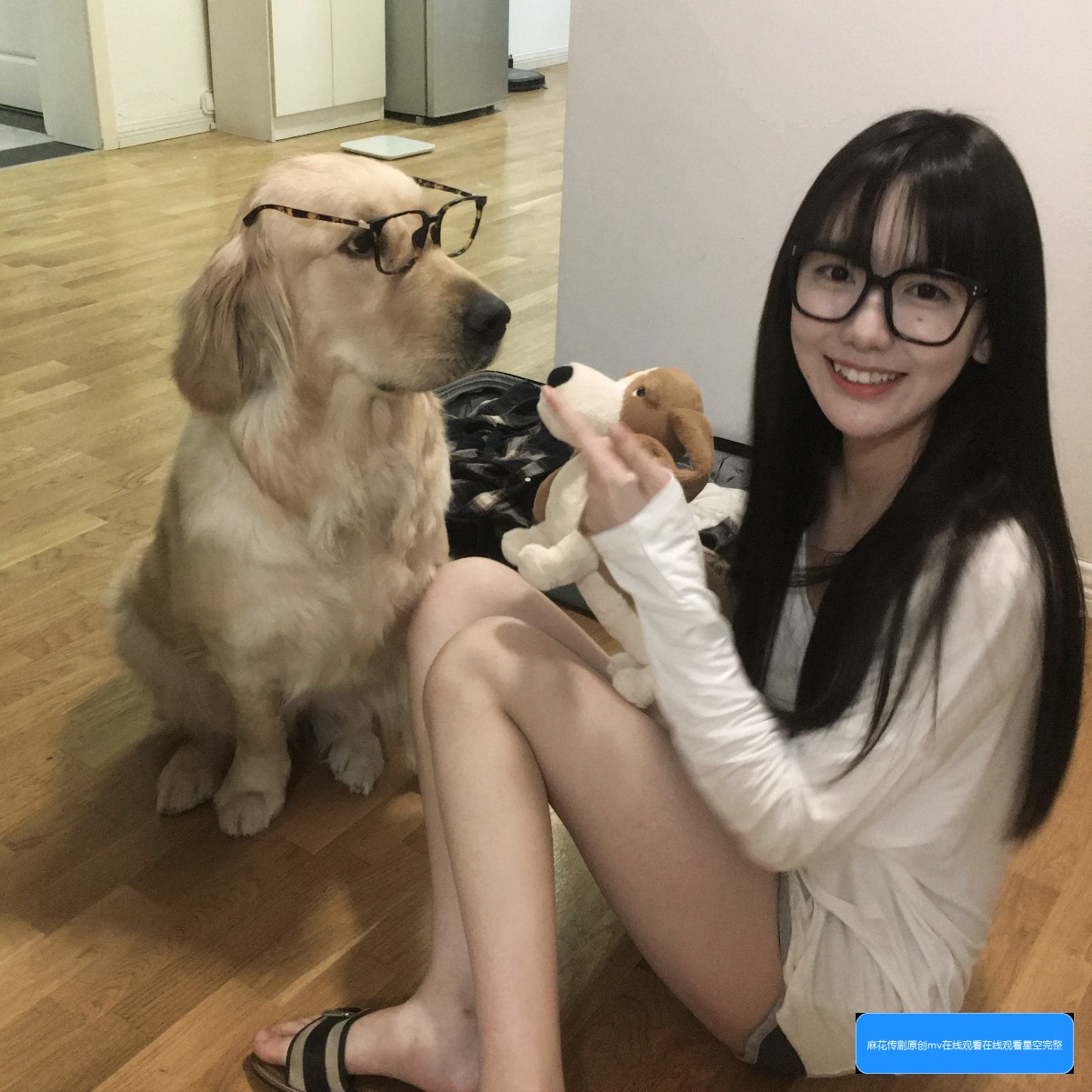 麻花传剧怎么在国产剧在线看mgh5平台免费观看？